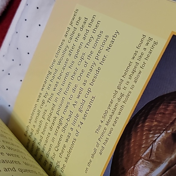 Hidden Treasure Educational Reader Booklet Edition - Picture 4 of 5